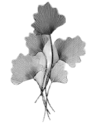 SN3022758-SI